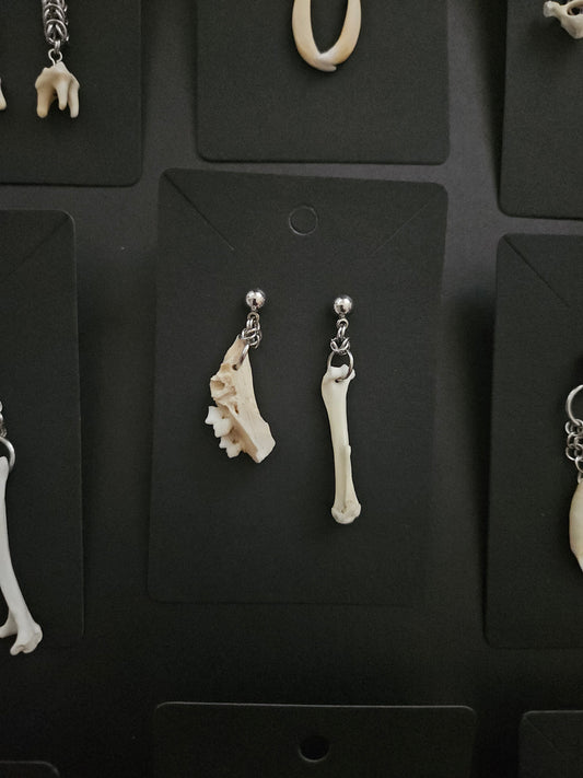 Mixed Bone earrings