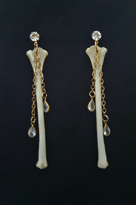 Squirrel humerus dangles