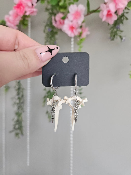 Cat bone earrings (spine+spike)