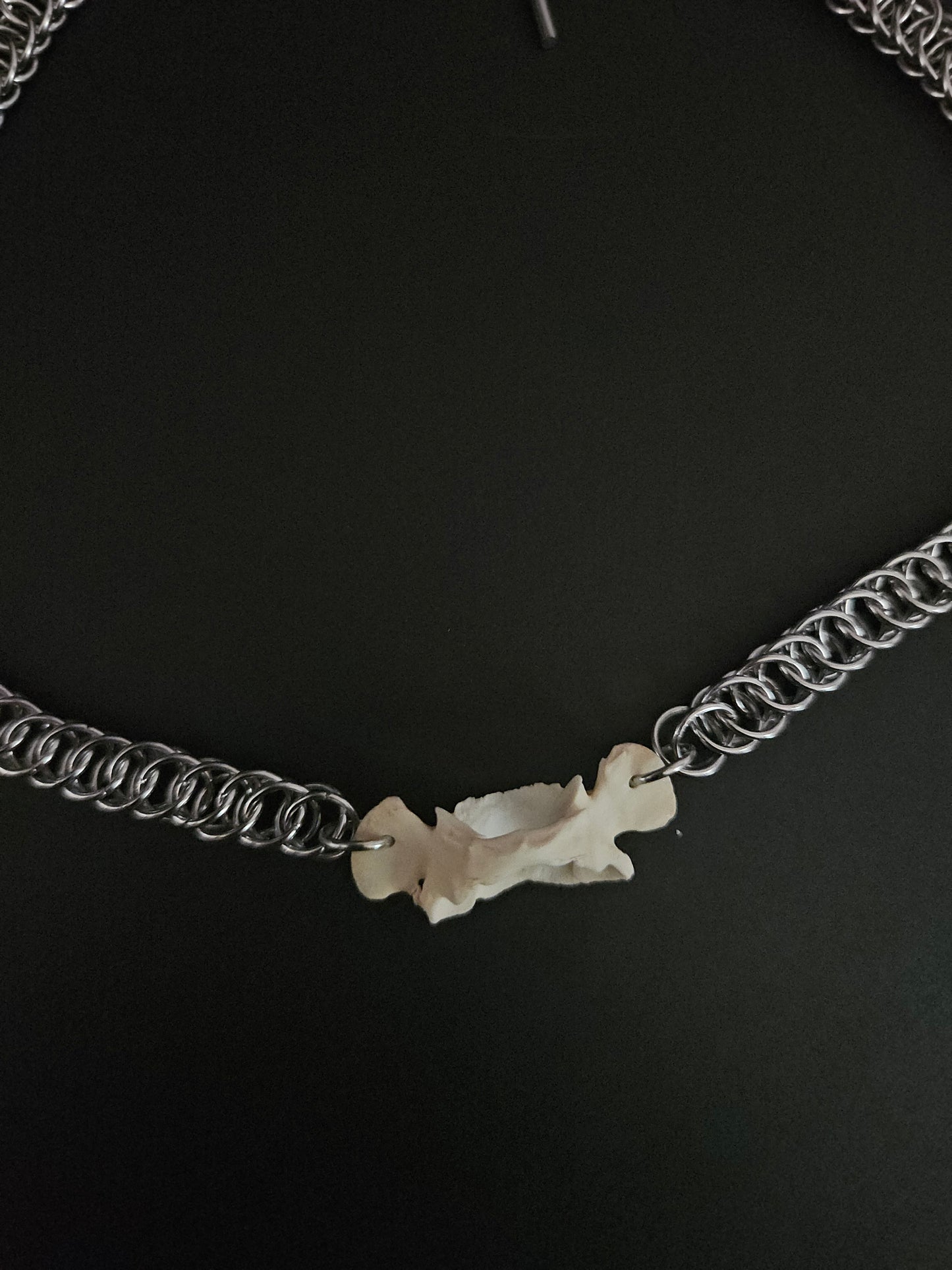 Possum vertebrae choker (B)