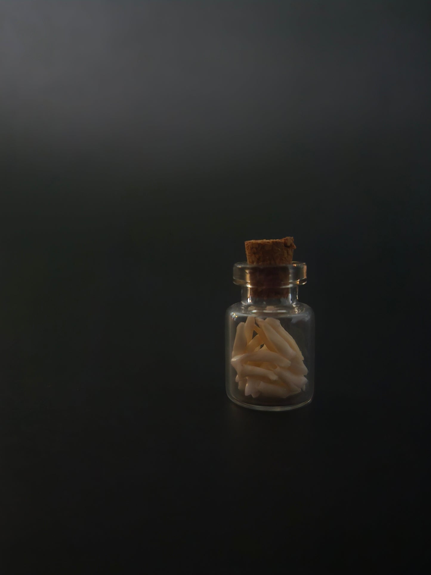 Tiny Jar of teeth - possum