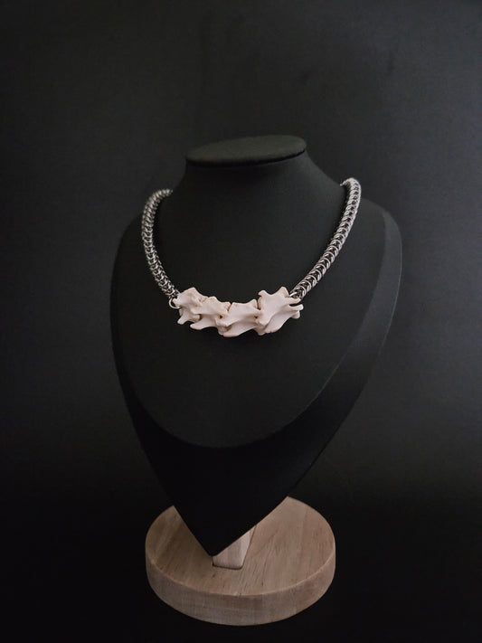 Felis catus - vertebrae bone chainmaille choker (a)