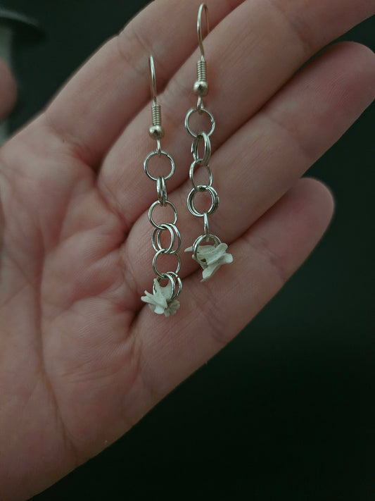 Rat vertebrae dangles