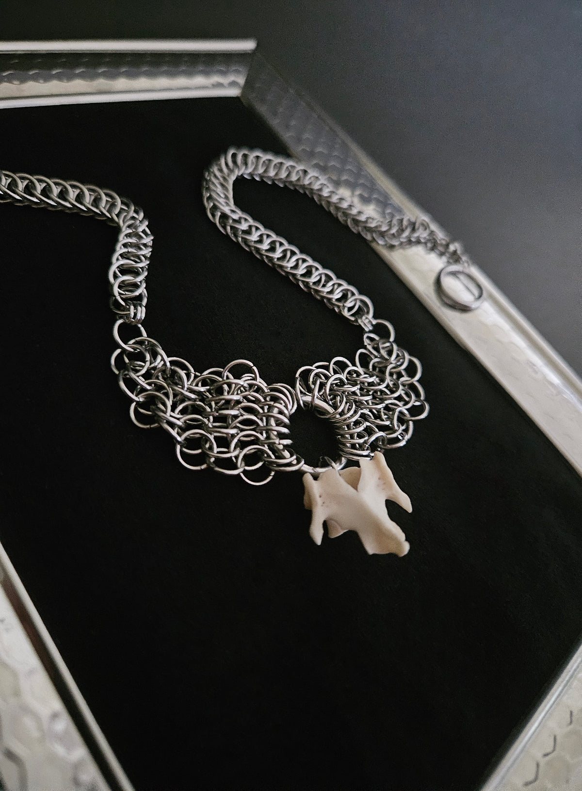 Felis catus - vertebrae bone chainmaille choker (b)