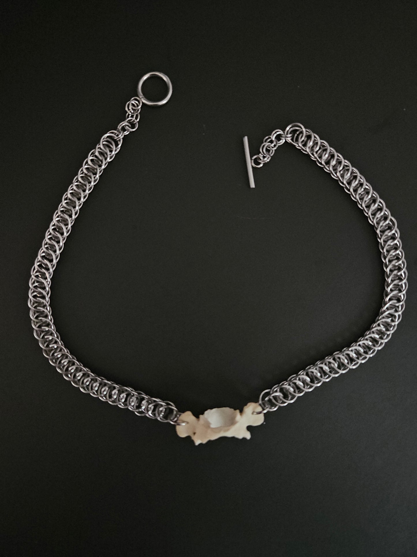 Possum vertebrae choker (B)