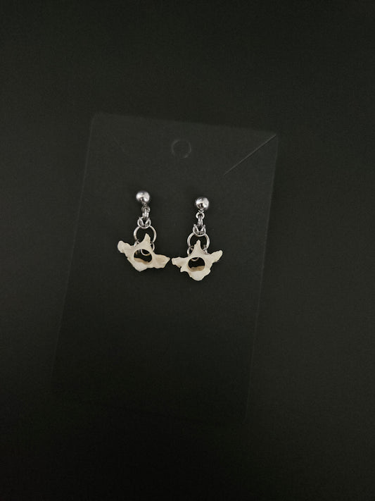 Vertebrae earrings