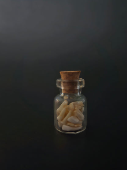 Tiny Jar of teeth - Racoon