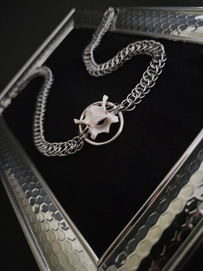 Felis catus vertebrae chainmaille choker (d)