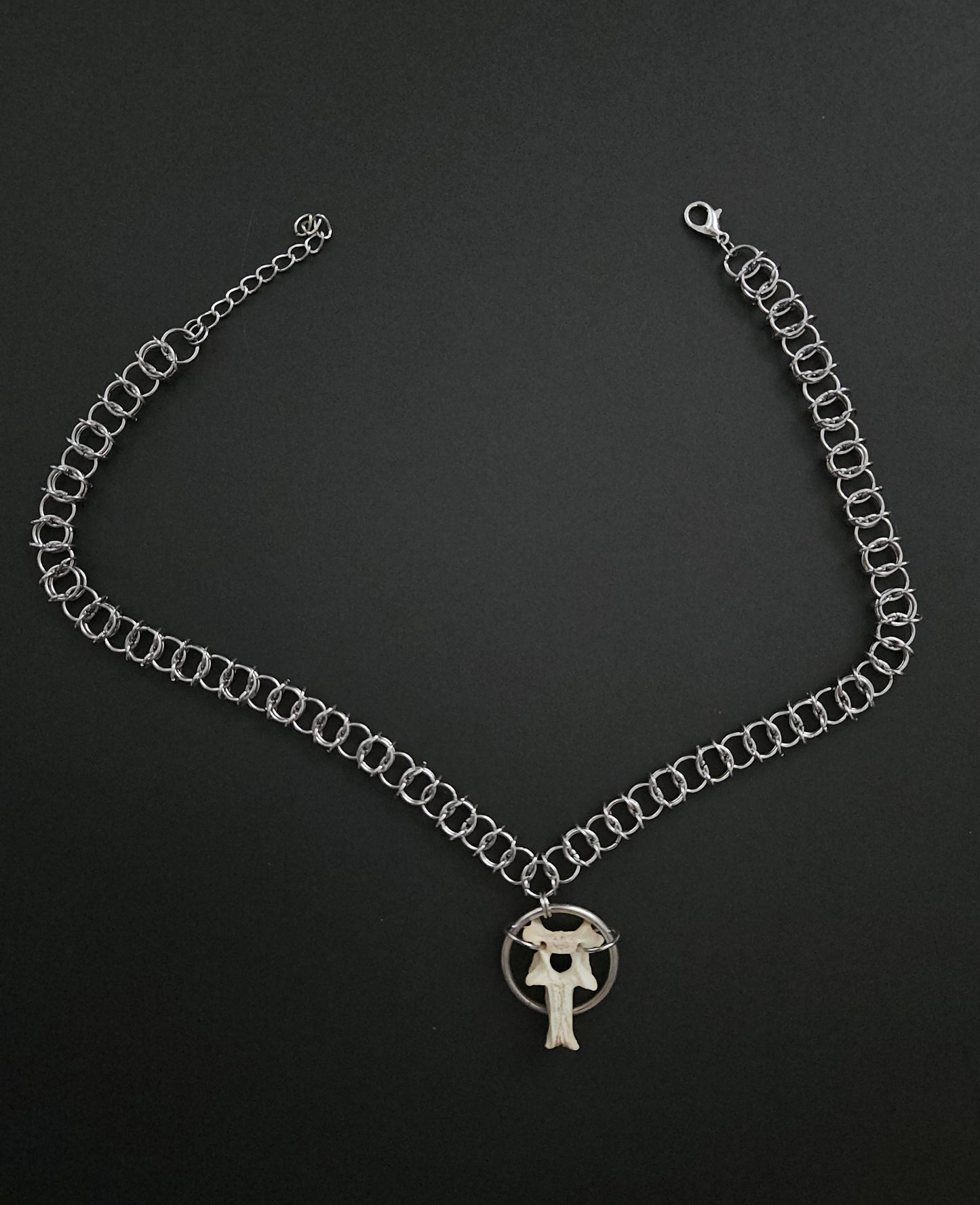 Possum vertebrae choker (a)