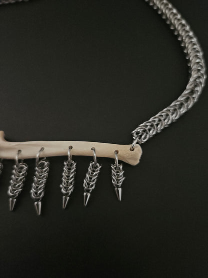 Racoon ulna choker (a)