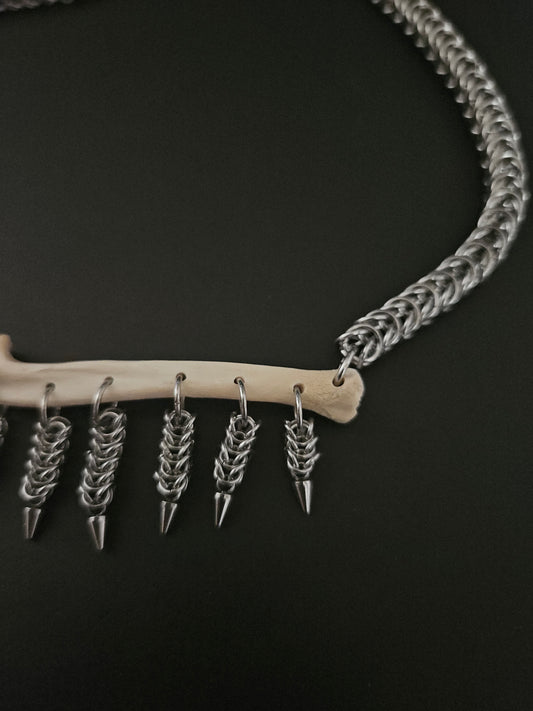 Racoon ulna choker (a)