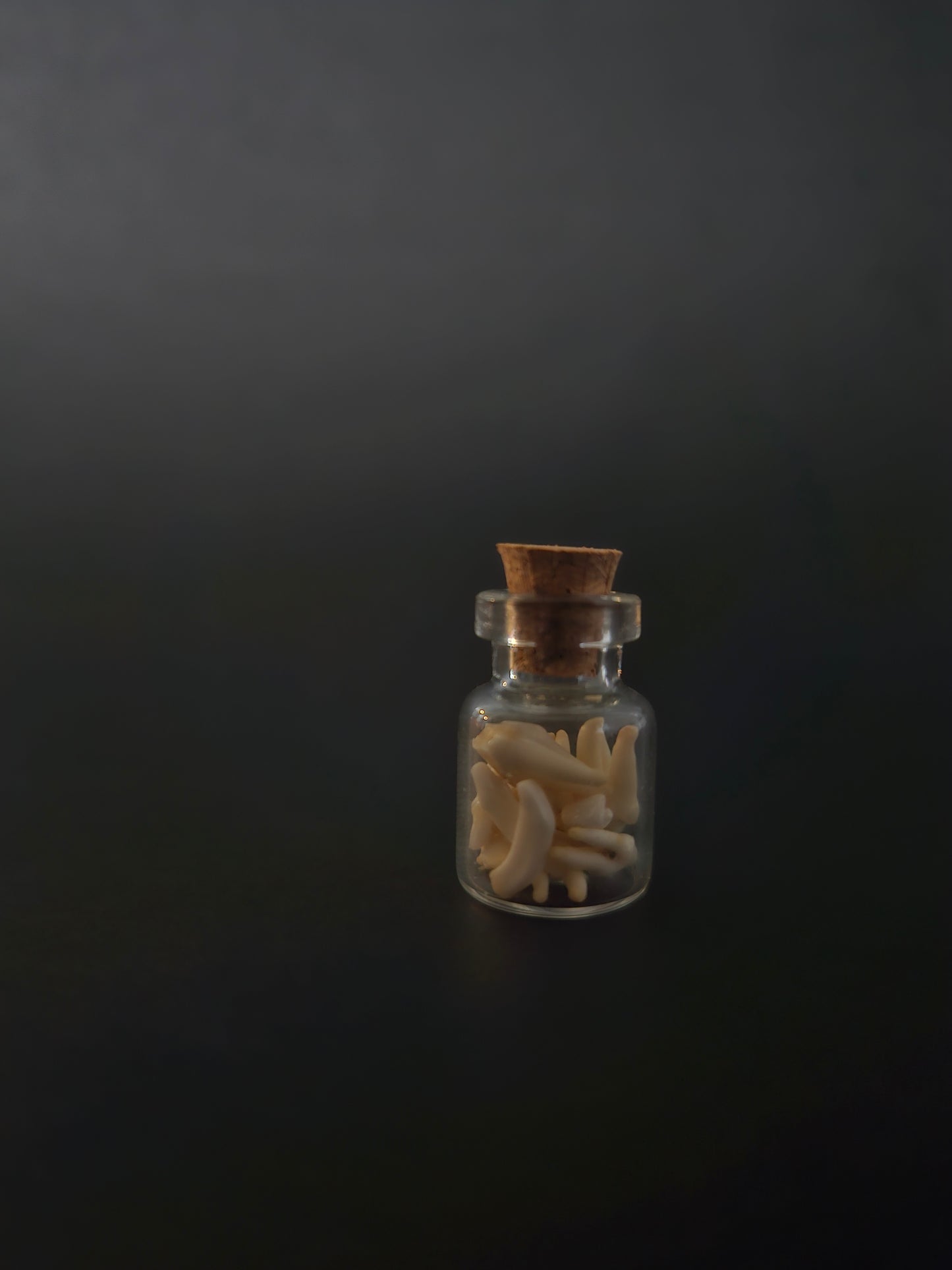 Tiny Jar of teeth - Racoon