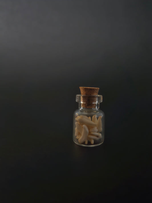 Tiny Jar of teeth - Racoon