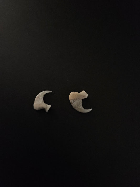 Two cat claws with bone