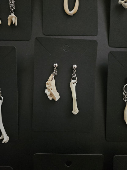 Mixed Bone earrings