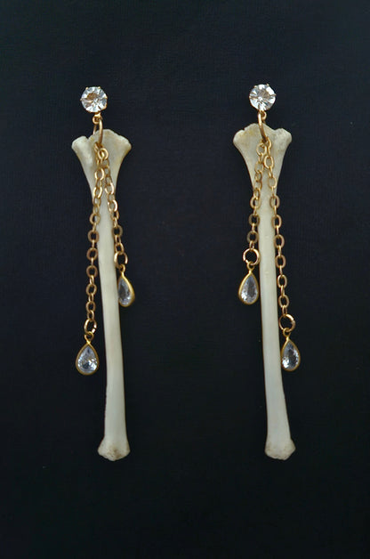 Squirrel humerus dangles