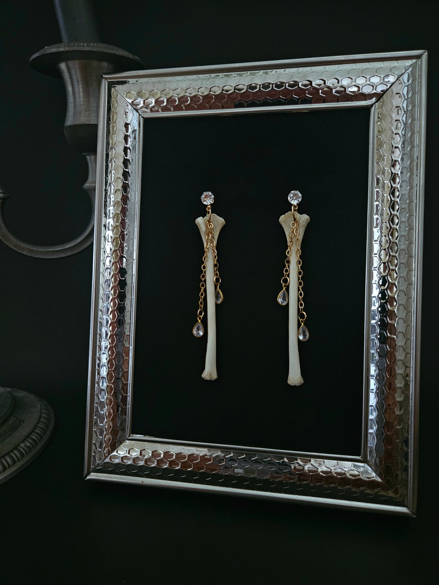 Squirrel humerus dangles