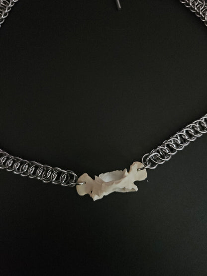 Possum vertebrae choker (B)