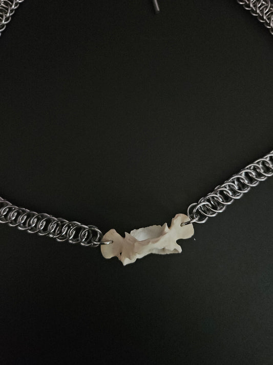 Possum vertebrae choker (B)
