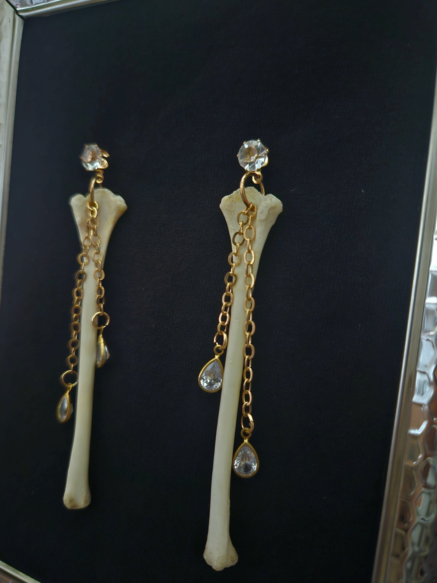 Squirrel humerus dangles