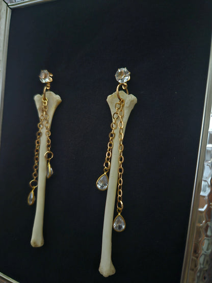 Squirrel humerus dangles