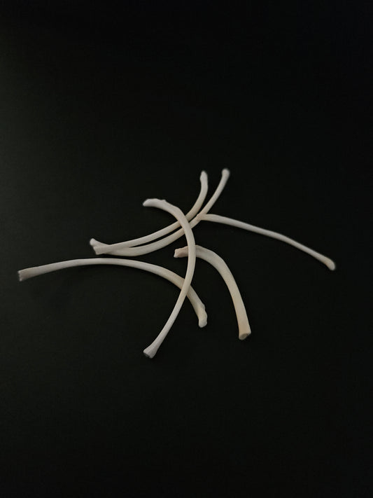 Assorted cat rib bones