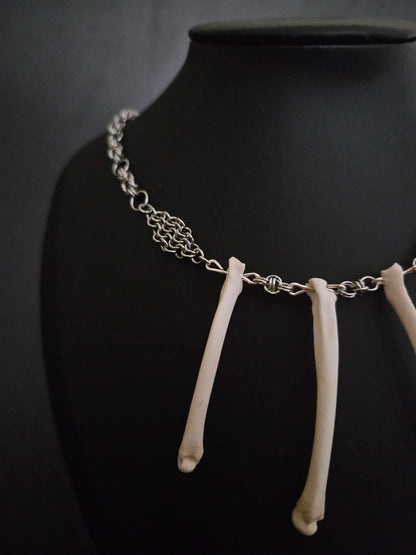 Felis catus Metatarsals chainmaille choker