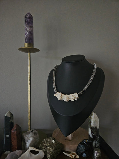 Felis catus - vertebrae bone chainmaille choker (a)
