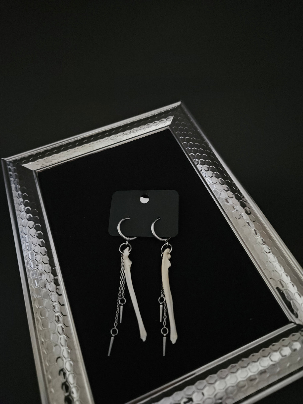Squirrel ulna spike earrings