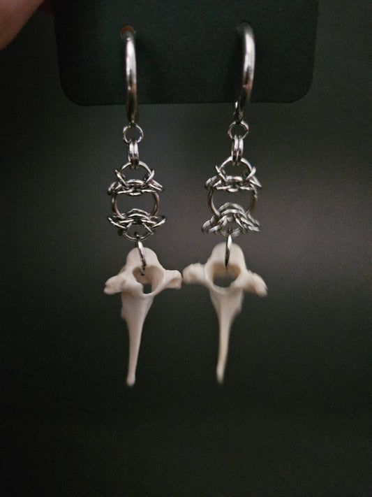 Cat bone earrings (thoracic vertebrae)