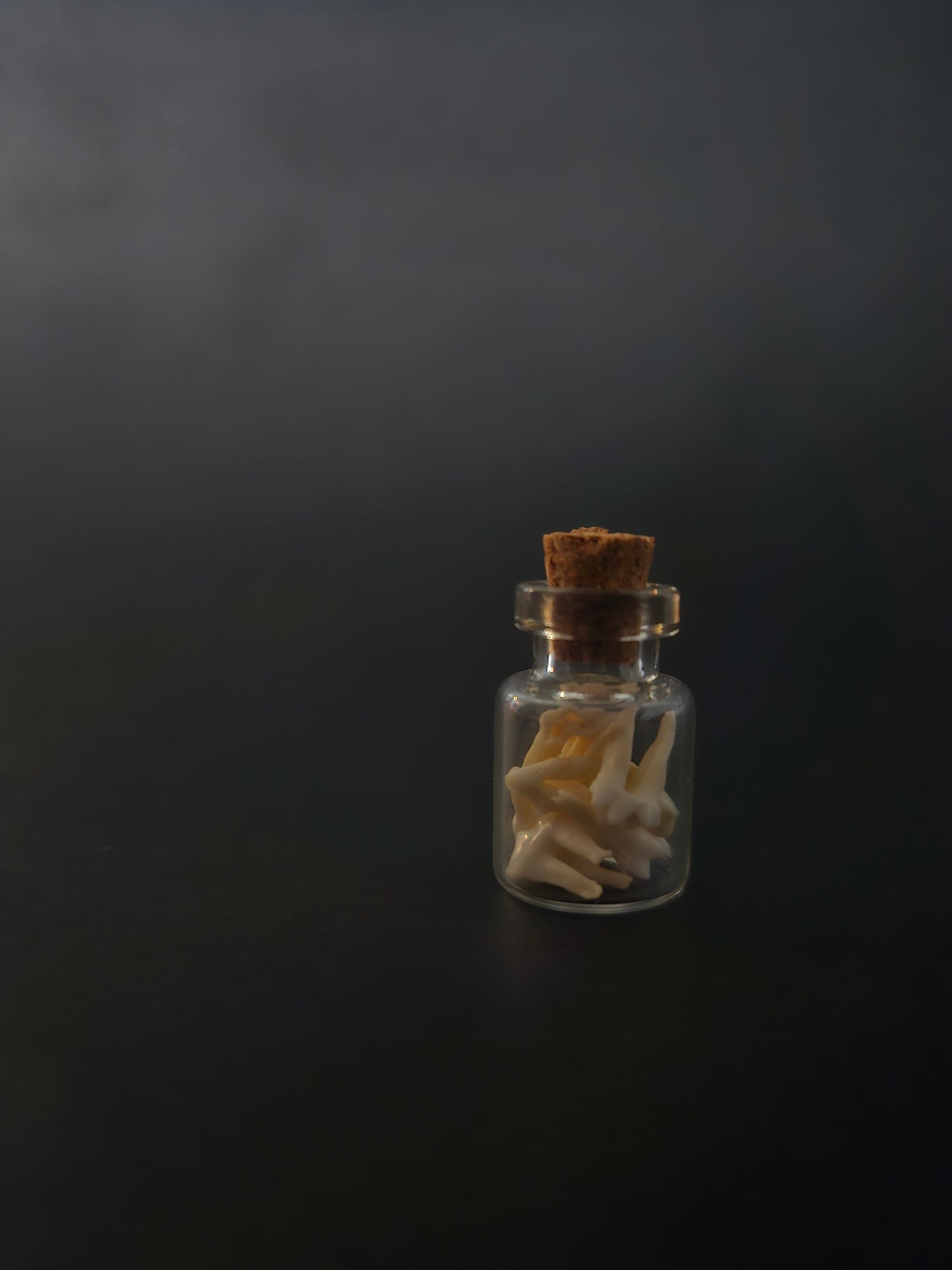 Tiny Jar of teeth - possum