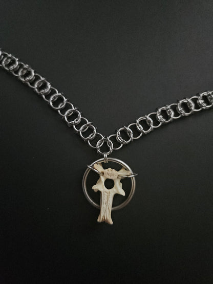 Possum vertebrae choker (a)