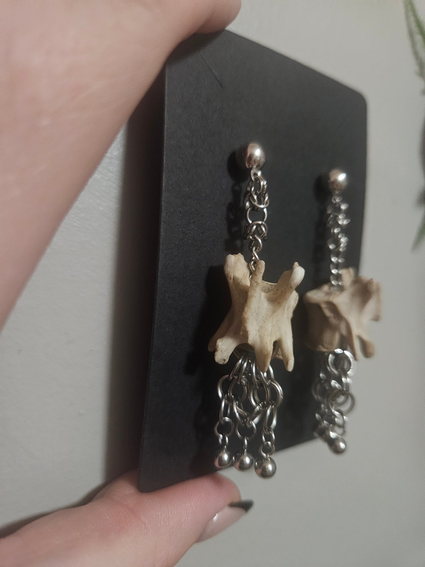 Vertebrae dangles