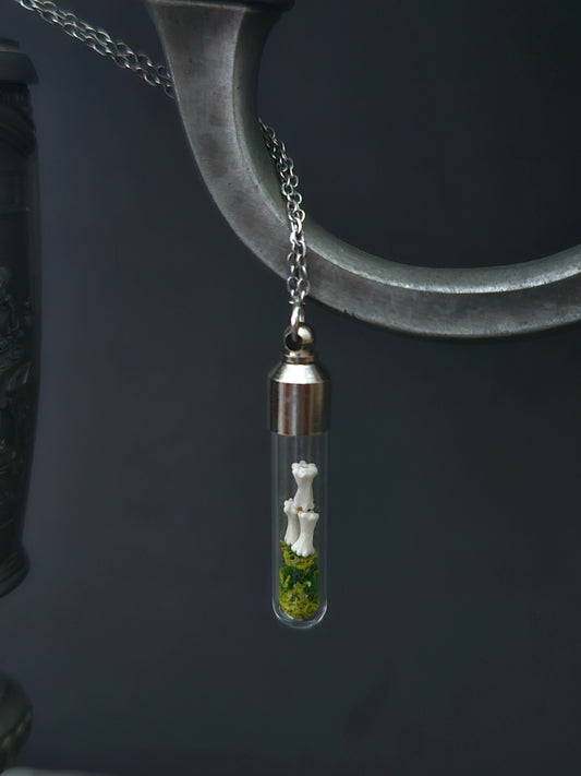 Rat tail oddity vial