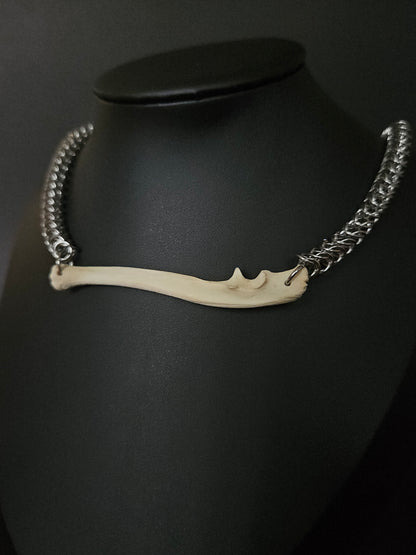 Racoon ulna choker (b)