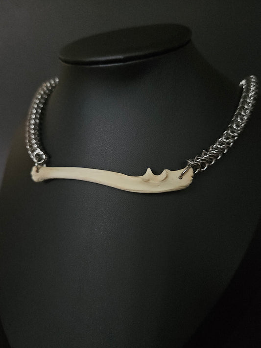 Racoon ulna choker (b)