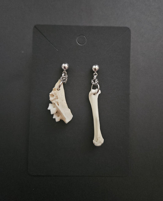 Mixed Bone earrings